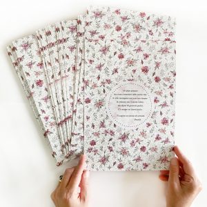 STAMPA A4 illustrazione Rosa Duchessa